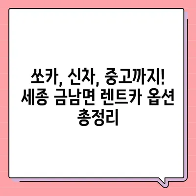 세종시 세종특별자치시 금남면 렌트카 가격비교 | 리스 | 장기대여 | 1일비용 | 비용 | 소카 | 중고 | 신차 | 1박2일 2024후기