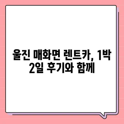 경상북도 울진군 매화면 렌트카 가격비교 | 리스 | 장기대여 | 1일비용 | 비용 | 소카 | 중고 | 신차 | 1박2일 2024후기