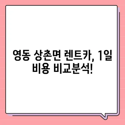 충청북도 영동군 상촌면 렌트카 가격비교 | 리스 | 장기대여 | 1일비용 | 비용 | 소카 | 중고 | 신차 | 1박2일 2024후기