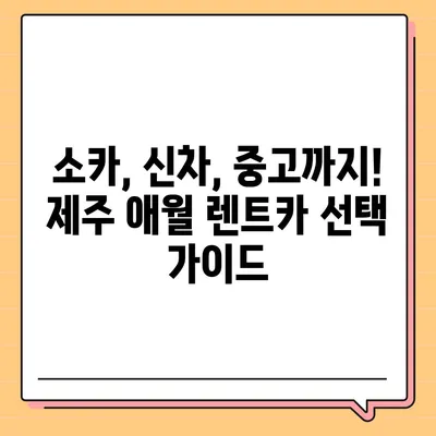 제주도 제주시 애월읍 렌트카 가격비교 | 리스 | 장기대여 | 1일비용 | 비용 | 소카 | 중고 | 신차 | 1박2일 2024후기