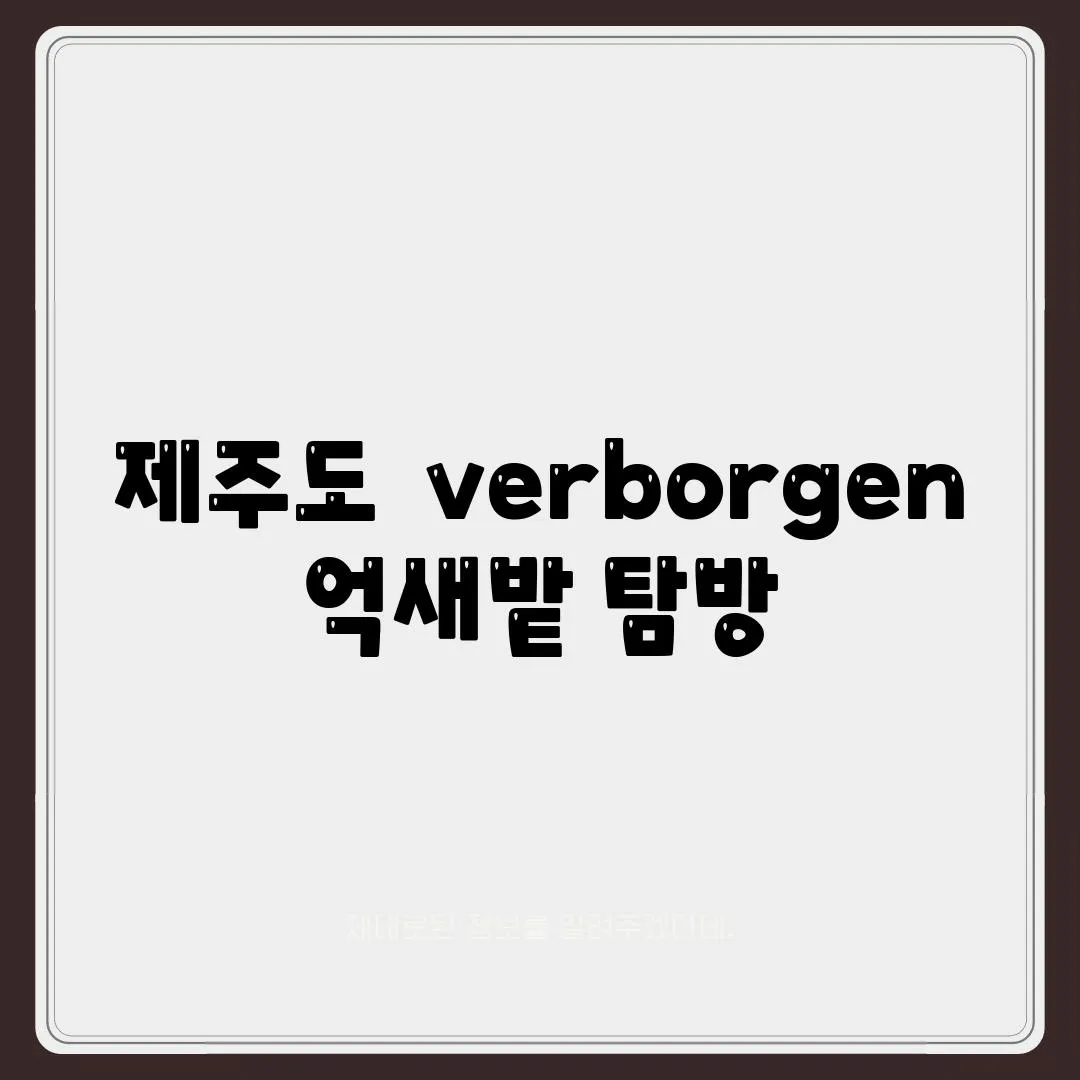 제주도  verborgen 억새밭 탐방