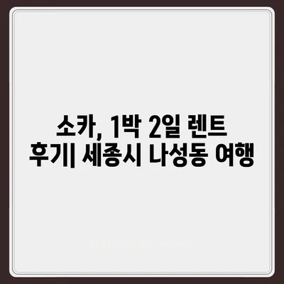 세종시 세종특별자치시 나성동 렌트카 가격비교 | 리스 | 장기대여 | 1일비용 | 비용 | 소카 | 중고 | 신차 | 1박2일 2024후기