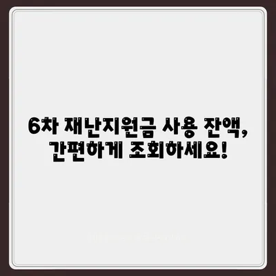 6차 재난지원금 신청 사용처 잔액조회