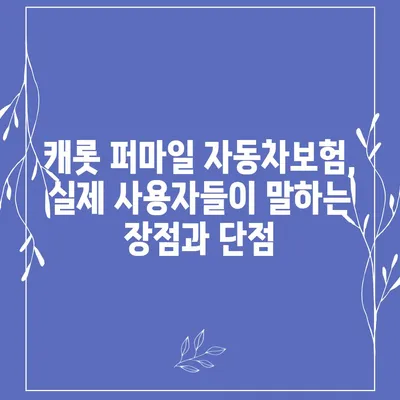 캐롯 퍼마일 자동차보험 실제 후기| 장점, 단점, 가입 전 꼭 알아야 할 정보 | 캐롯, 퍼마일, 자동차보험, 후기, 장단점, 가입 팁