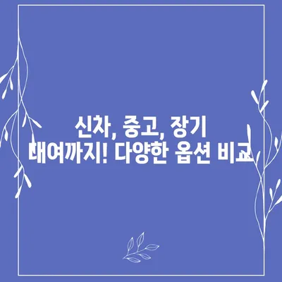 충청남도 논산시 상월면 렌트카 가격비교 | 리스 | 장기대여 | 1일비용 | 비용 | 소카 | 중고 | 신차 | 1박2일 2024후기