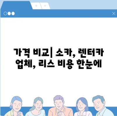 대구시 수성구 만촌1동 렌트카 가격비교 | 리스 | 장기대여 | 1일비용 | 비용 | 소카 | 중고 | 신차 | 1박2일 2024후기