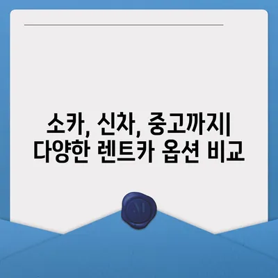 전라남도 나주시 이창동 렌트카 가격비교 | 리스 | 장기대여 | 1일비용 | 비용 | 소카 | 중고 | 신차 | 1박2일 2024후기