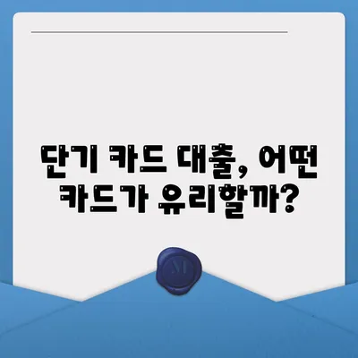 단기카드대출 비상금대출