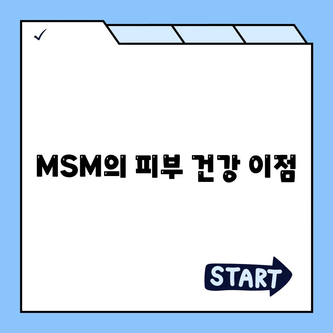 MSM의 피부 건강 이점