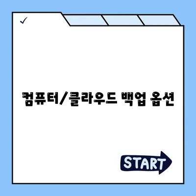 컴퓨터/클라우드 백업 옵션