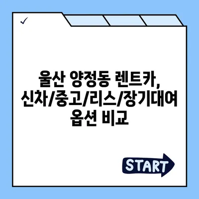 울산시 북구 양정동 렌트카 가격비교 | 리스 | 장기대여 | 1일비용 | 비용 | 소카 | 중고 | 신차 | 1박2일 2024후기