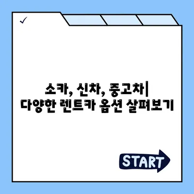 서울시 강동구 성내제1동 렌트카 가격비교 | 리스 | 장기대여 | 1일비용 | 비용 | 소카 | 중고 | 신차 | 1박2일 2024후기