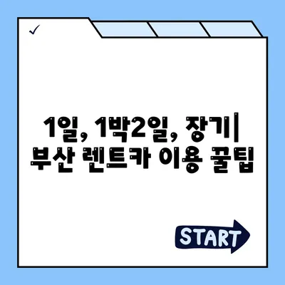 부산시 강서구 천가동 렌트카 가격비교 | 리스 | 장기대여 | 1일비용 | 비용 | 소카 | 중고 | 신차 | 1박2일 2024후기