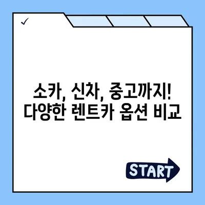 충청남도 홍성군 광천읍 렌트카 가격비교 | 리스 | 장기대여 | 1일비용 | 비용 | 소카 | 중고 | 신차 | 1박2일 2024후기