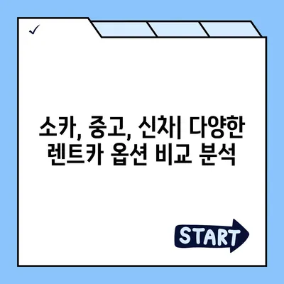 대구시 달서구 본리동 렌트카 가격비교 | 리스 | 장기대여 | 1일비용 | 비용 | 소카 | 중고 | 신차 | 1박2일 2024후기