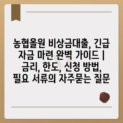 농협올원 비상금대출, 긴급 자금 마련 완벽 가이드 | 금리, 한도, 신청 방법, 필요 서류