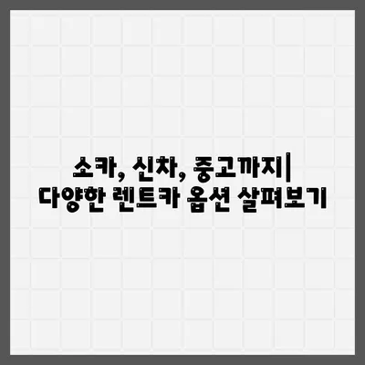 광주시 북구 건국동 렌트카 가격비교 | 리스 | 장기대여 | 1일비용 | 비용 | 소카 | 중고 | 신차 | 1박2일 2024후기