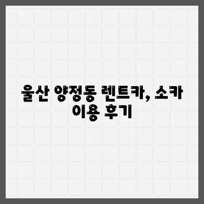 울산시 북구 양정동 렌트카 가격비교 | 리스 | 장기대여 | 1일비용 | 비용 | 소카 | 중고 | 신차 | 1박2일 2024후기