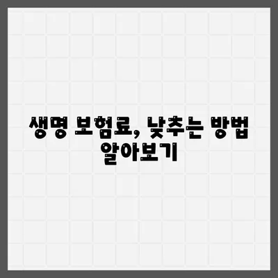 생명 보험 가격