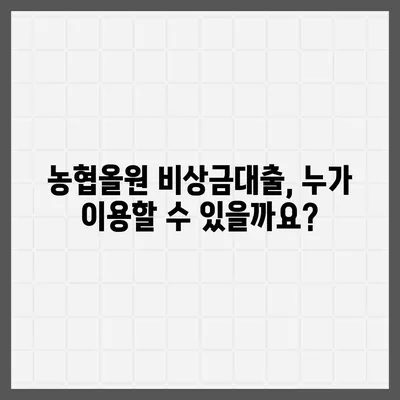 농협올원 비상금대출, 긴급 자금 마련 완벽 가이드 | 금리, 한도, 신청 방법, 필요 서류