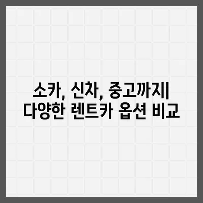 광주시 동구 지산1동 렌트카 가격비교 | 리스 | 장기대여 | 1일비용 | 비용 | 소카 | 중고 | 신차 | 1박2일 2024후기