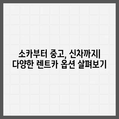 강원도 강릉시 교1동 렌트카 가격비교 | 리스 | 장기대여 | 1일비용 | 비용 | 소카 | 중고 | 신차 | 1박2일 2024후기