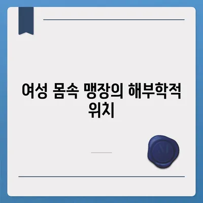 여성의 맹장 위치| 그림과 설명으로 알아보기 | 여성, 맹장, 위치, 해부학