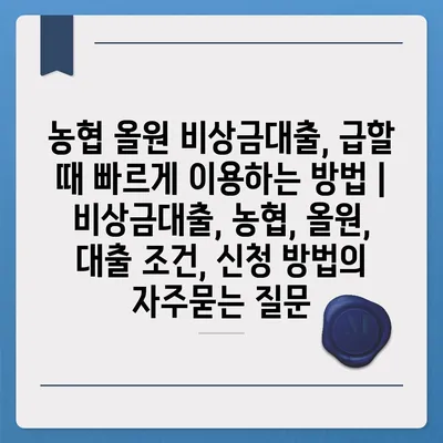 농협 올원 비상금대출, 급할 때 빠르게 이용하는 방법 | 비상금대출, 농협, 올원, 대출 조건, 신청 방법