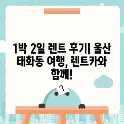 울산시 중구 태화동 렌트카 가격비교 | 리스 | 장기대여 | 1일비용 | 비용 | 소카 | 중고 | 신차 | 1박2일 2024후기