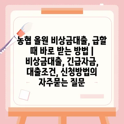 농협 올원 비상금대출, 급할 때 바로 받는 방법 | 비상금대출, 긴급자금, 대출조건, 신청방법