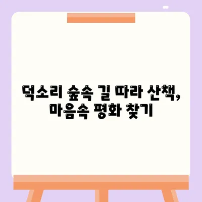 덕소리 숲속 길 따라 산책, 마음속 평화 찾기