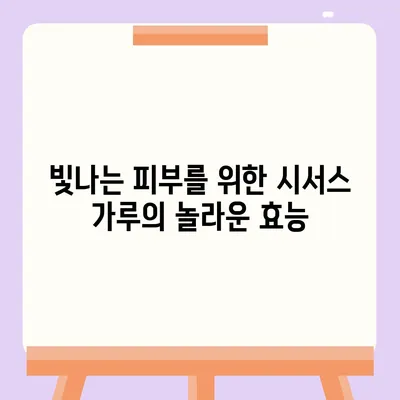 시서스 가루 효능| 건강, 다이어트, 피부까지! | 시서스, 효능, 건강, 다이어트, 피부, 건강식품