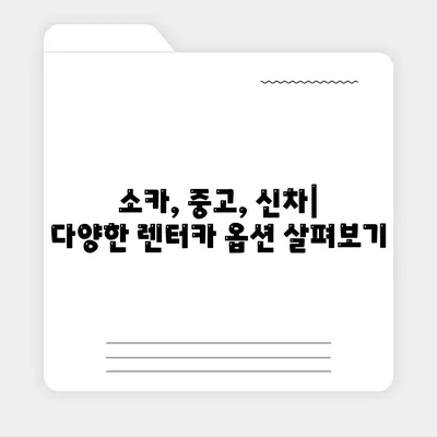 부산시 동래구 온천2동 렌트카 가격비교 | 리스 | 장기대여 | 1일비용 | 비용 | 소카 | 중고 | 신차 | 1박2일 2024후기