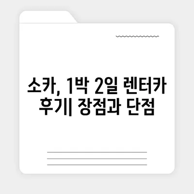 서울시 광진구 화양동 렌트카 가격비교 | 리스 | 장기대여 | 1일비용 | 비용 | 소카 | 중고 | 신차 | 1박2일 2024후기