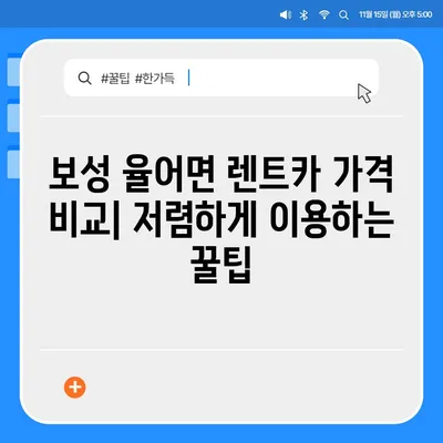 전라남도 보성군 율어면 렌트카 가격비교 | 리스 | 장기대여 | 1일비용 | 비용 | 소카 | 중고 | 신차 | 1박2일 2024후기