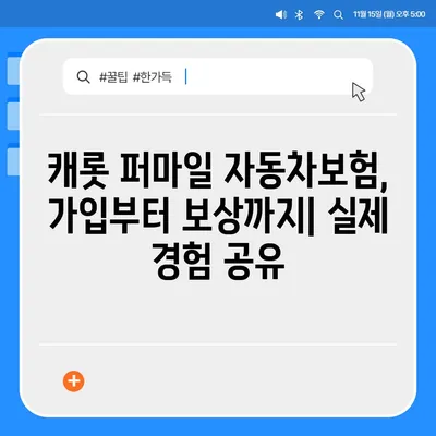 캐롯 퍼마일 자동차보험 실제 후기| 장점, 단점, 가입 전 꼭 알아야 할 정보 | 캐롯, 퍼마일, 자동차보험, 후기, 장단점, 가입 팁