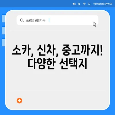 경상남도 창녕군 이방면 렌트카 가격비교 | 리스 | 장기대여 | 1일비용 | 비용 | 소카 | 중고 | 신차 | 1박2일 2024후기