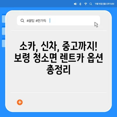 충청남도 보령시 청소면 렌트카 가격비교 | 리스 | 장기대여 | 1일비용 | 비용 | 소카 | 중고 | 신차 | 1박2일 2024후기