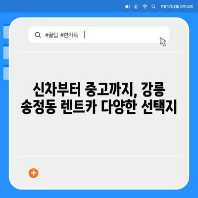 강원도 강릉시 송정동 렌트카 가격비교 | 리스 | 장기대여 | 1일비용 | 비용 | 소카 | 중고 | 신차 | 1박2일 2024후기