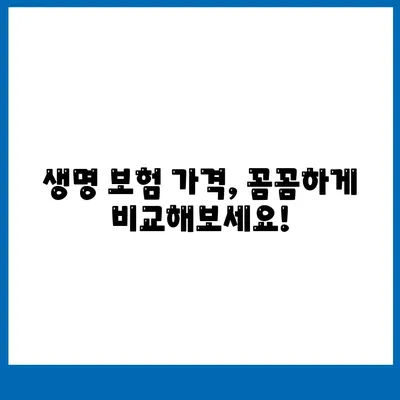 생명 보험 가격