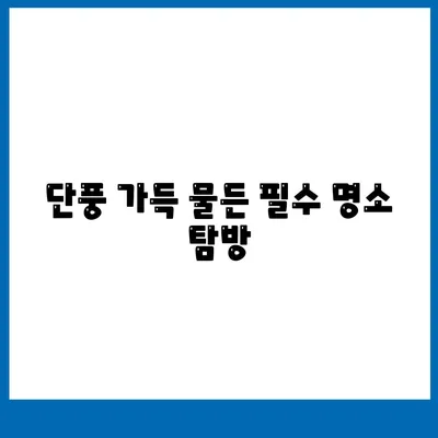 단풍 가득 물든 필수 명소 탐방