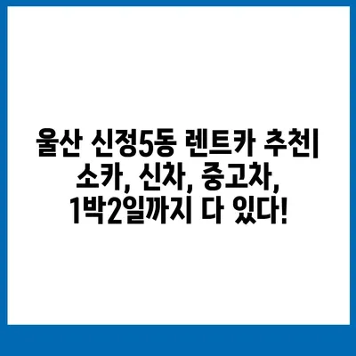 울산시 남구 신정5동 렌트카 가격비교 | 리스 | 장기대여 | 1일비용 | 비용 | 소카 | 중고 | 신차 | 1박2일 2024후기