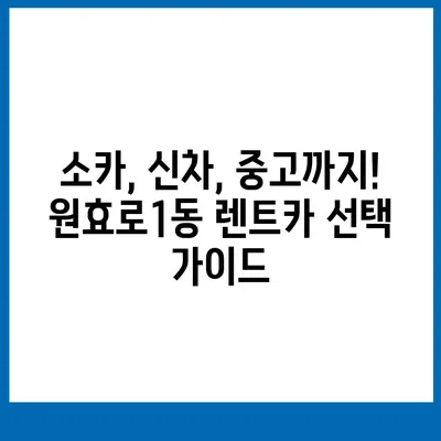 서울시 용산구 원효로제1동 렌트카 가격비교 | 리스 | 장기대여 | 1일비용 | 비용 | 소카 | 중고 | 신차 | 1박2일 2024후기