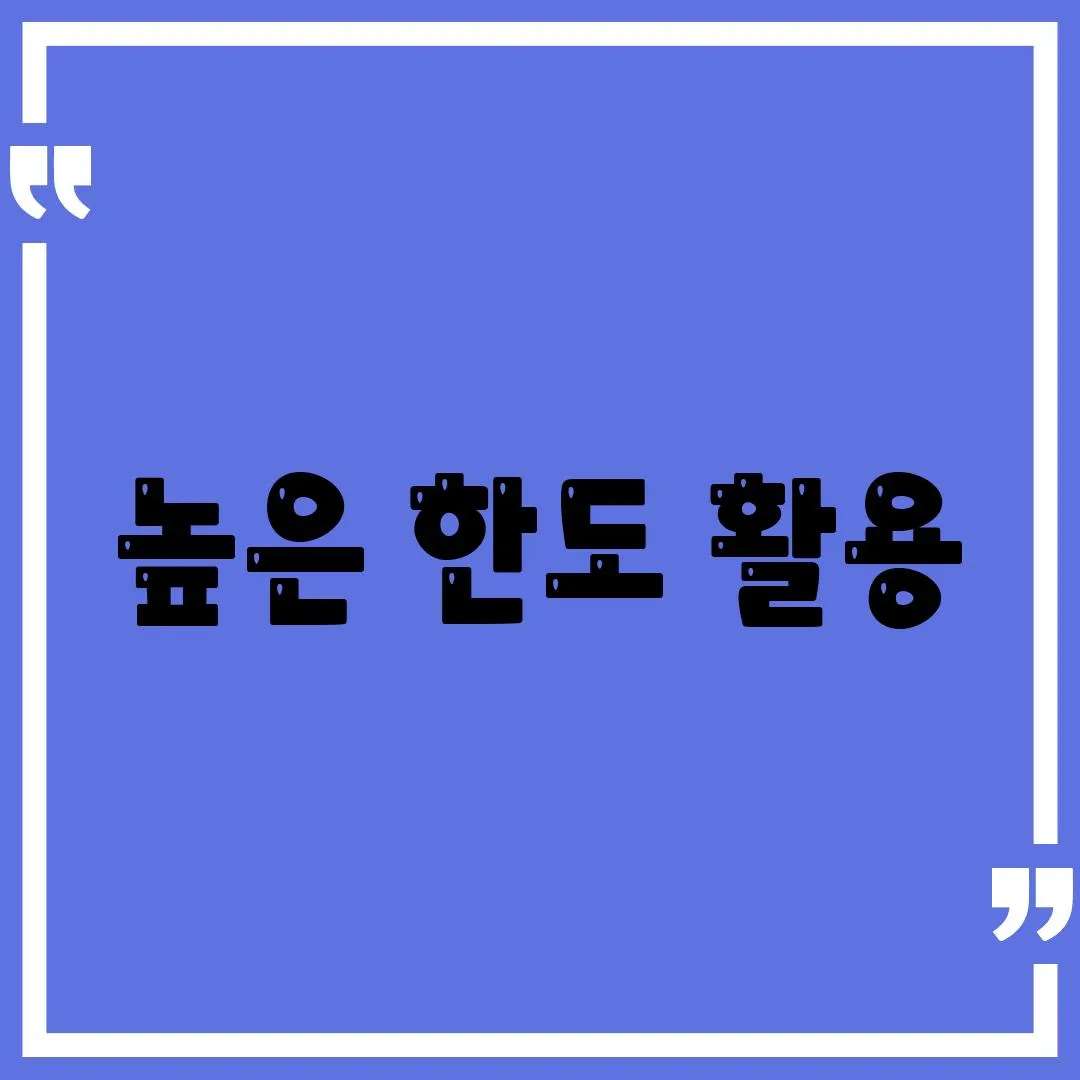 높은 한도 활용