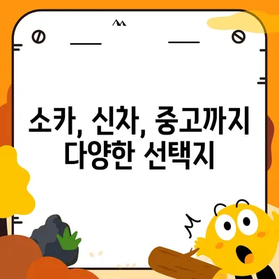 광주시 동구 학동 렌트카 가격비교 | 리스 | 장기대여 | 1일비용 | 비용 | 소카 | 중고 | 신차 | 1박2일 2024후기