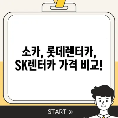 서울시 노원구 하계2동 렌트카 가격비교 | 리스 | 장기대여 | 1일비용 | 비용 | 소카 | 중고 | 신차 | 1박2일 2024후기