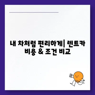 대구시 중구 남산4동 렌트카 가격비교 | 리스 | 장기대여 | 1일비용 | 비용 | 소카 | 중고 | 신차 | 1박2일 2024후기