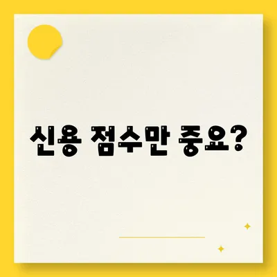 신용 점수만 중요?