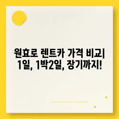 서울시 용산구 원효로제1동 렌트카 가격비교 | 리스 | 장기대여 | 1일비용 | 비용 | 소카 | 중고 | 신차 | 1박2일 2024후기