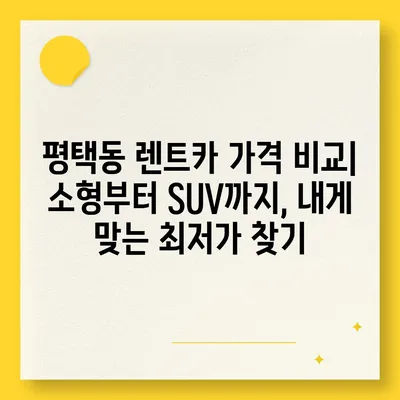 경기도 평택시 평택동 렌트카 가격비교 | 리스 | 장기대여 | 1일비용 | 비용 | 소카 | 중고 | 신차 | 1박2일 2024후기